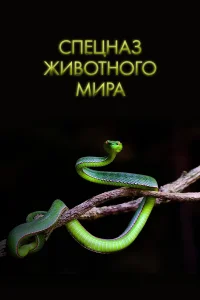 Джим О’Брайэн