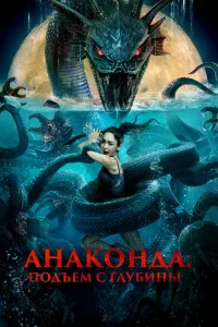 Чжао Исинь, Ли Цзяи, Амро, Цзян Яньси, Цю Шицзянь